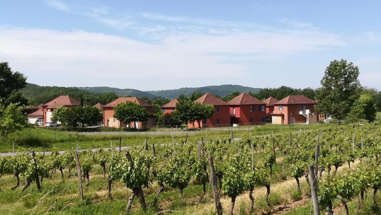 "Chezvero46" Residence 3 Etoiles Avec Piscine, Wifi Et Velos Prayssac Экстерьер фото